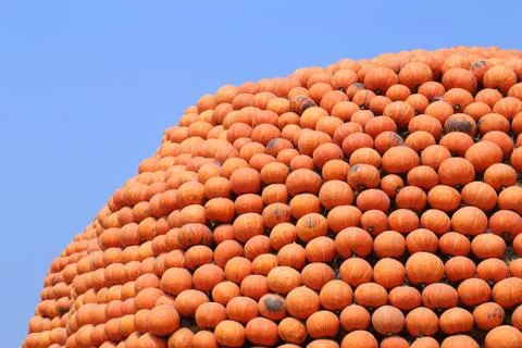 Pile of orange pumpkins stack Foto stock