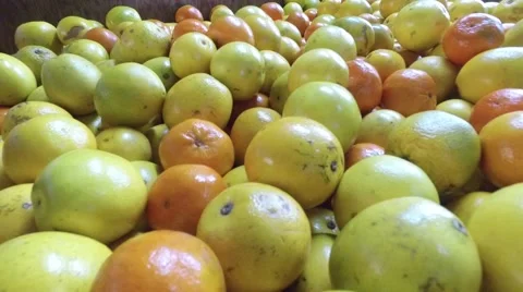 Pile of oranges Stock Footage 57211347