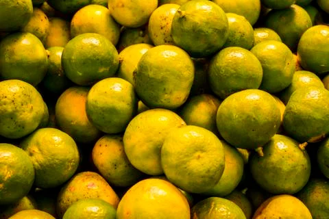 Pile of Oranges Stock Photos