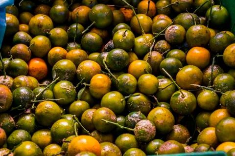 Pile of Oranges Stock Photos