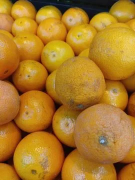 A pile of oranges Stock Photos