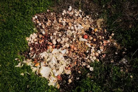 Pile of organic compost waste with eggshells, vegetables, and fruit scraps de Stock Photos
