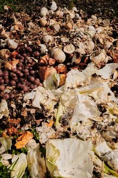 Pile of organic compost waste with eggshells, vegetables, and fruit scraps de Stock Photos