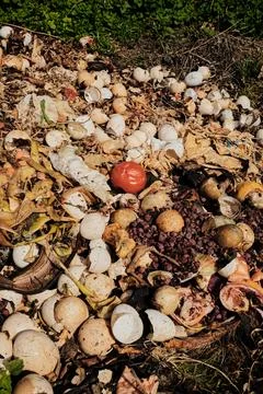 Pile of organic compost waste with eggshells, vegetables, and fruit scraps de Stock Photos