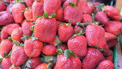 A pile of organic fresh strawberry close up Video stock 106027770