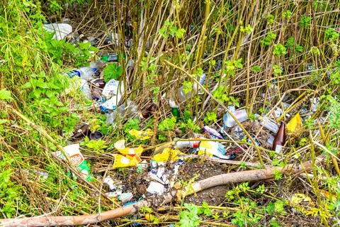 Pile of packaging waste left in the forest after the rest of irresponsible Stock Photos