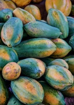 Pile of Papaya Stock Photos