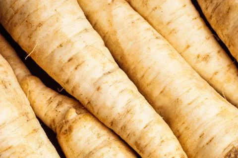 Pile of Parsley root Stock Photos