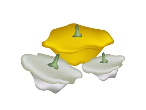Pile of Pattypan Squash on White Background Stock Illustration