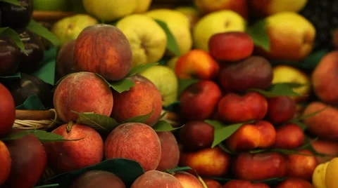 Pile of peaches Stock Footage 44302664
