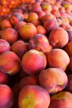 Pile of peaches Stock Photos