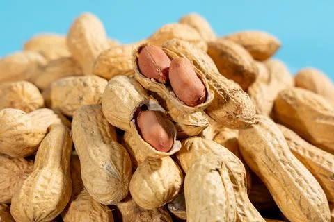 A pile of peanuts with one of them open Stock Photos