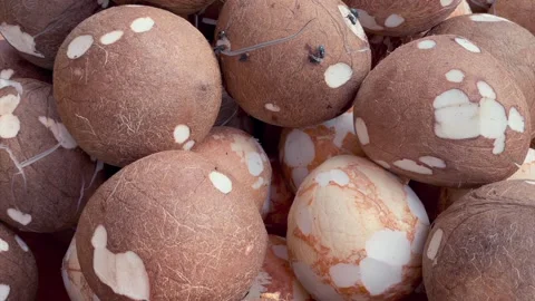 Pile of peeled brown coconuts at a traditional market Vídeo Stock 337570545