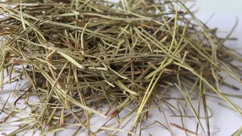 Pile of pine needles on a white background. Dried needles of conifers to make a Stock Footage 213941657