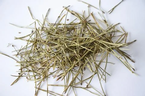 Pile of pine needles on a white background. Dried needles of conifers to make Stock Photos