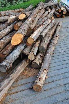 A pile of pine. Stockfoto's