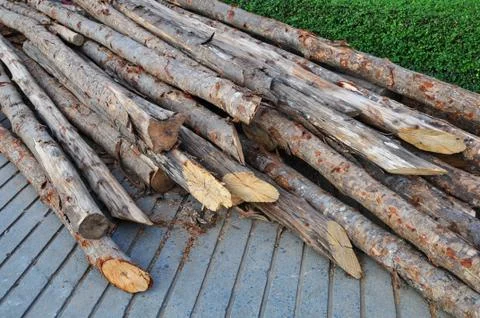 A pile of pine. Stock Photos