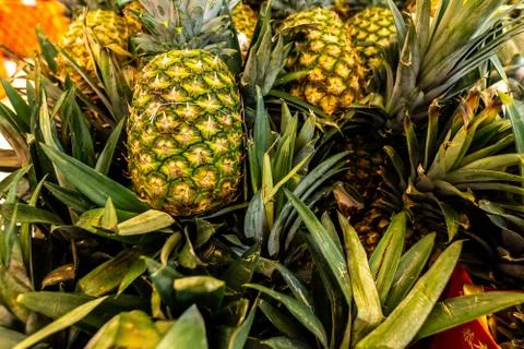 Pile pineapple fruit which has been harvested and display for sale on farmers Stock Photos