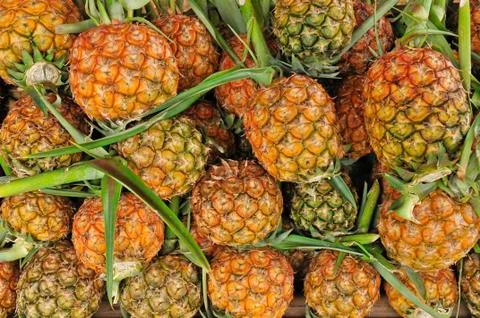 Pile of pineapple Stock Photos