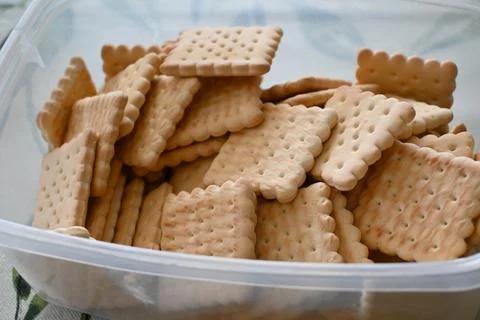 Pile of plain biscuits in a clear plastic container Photos