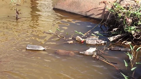 A pile of plastic bottles and garbage floating near a concrete bank, pollut.. 動画素材 336982696