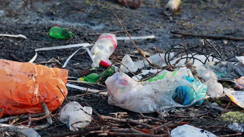 Pile of plastic garbage and waste dumped on ground in forest Stock Footage 332044482