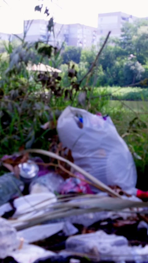 Pile of Plastic Waste and Beer Cans Left on Riverbank After Recreation Stock Footage 340577272
