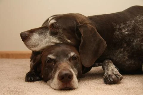 Pile of pointers Stock Photos