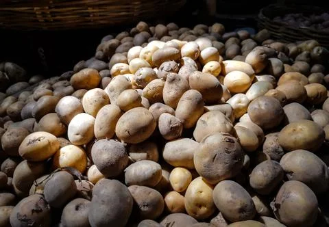 Pile of potato Stock Photos
