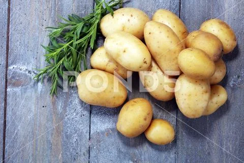 Pile of potatoes lying on table. Fresh potato and rosemary Stock Photos
