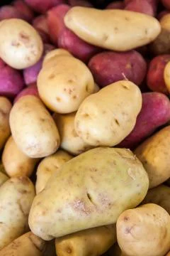 Pile of potatoes Stock Photos