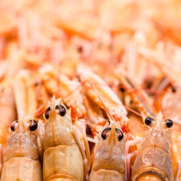 Pile of prawns Foto stock