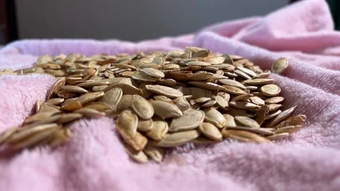 Pile of pumpkin seeds bed Video stock 223510935