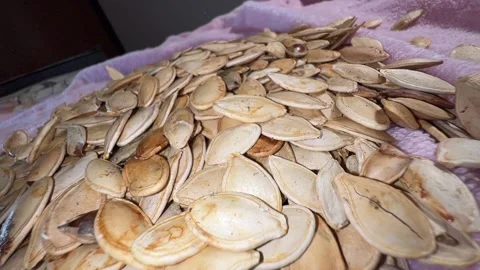 Pile of pumpkin seeds Video stock 223511146