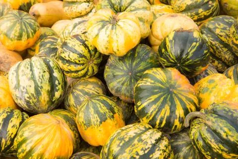 Pile of pumpkins background Stock Photos