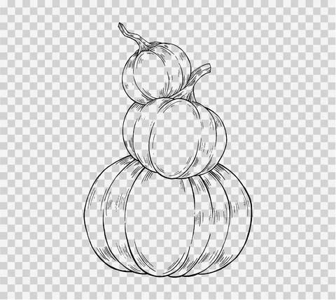 Pile of pumpkins hand draw paint brush style isolated  on png or transparent, Stock Illustration