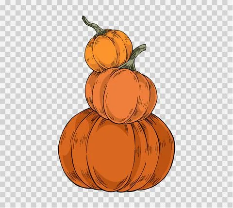 Pile of pumpkins hand draw paint brush style isolated  on png or transparent, Illustrazione stock