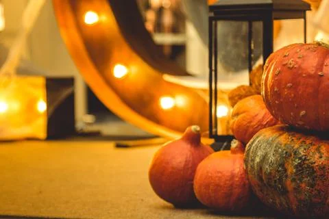 Pile of pumpkins Stock Photos
