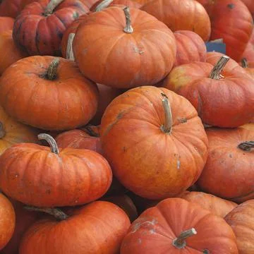 Pile of pumpkins Foto stock