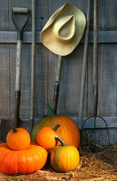 Pile of pumpkins with tools Stock Photos