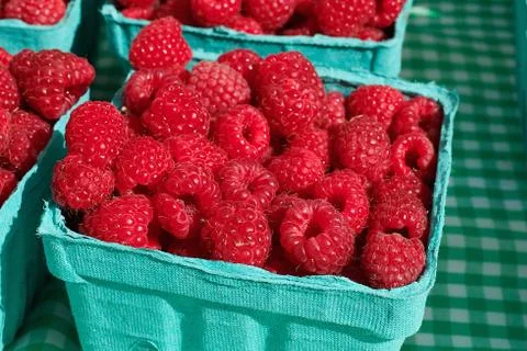 Pile of rasberries Stock Photos