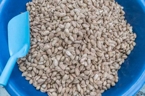 Pile of raw almonds in shells, as a background Stock Photos