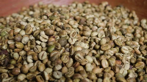 Pile of Raw Bali  Coffee Beans, Bali Stock Footage 147257224