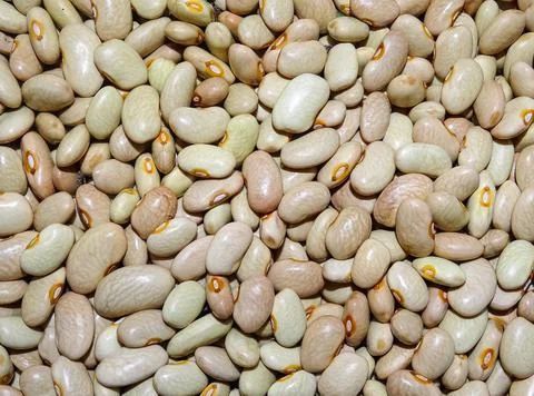 Pile of raw beans. Beans background Фото