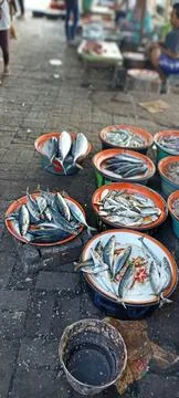 Pile of raw fish Stock Photos