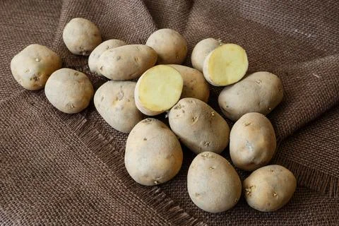 Pile of raw potatoes on burlap Фото