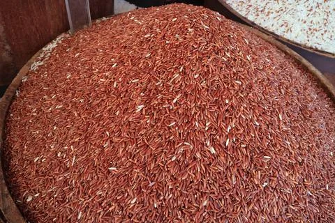 Pile of Raw Ruby Red Color Thai Sangyod Rice or Sangyod Muang Phatthalung Rice 写真素材