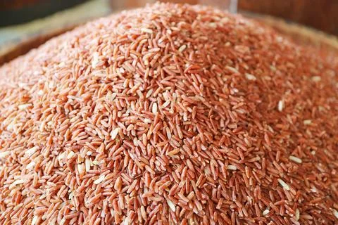 Pile of Raw Ruby Red Color Thai Sangyod Rice or Sangyod Muang Phatthalung Rice 写真素材