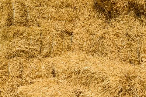Pile of the rectangular straw bales for the background Foto stock