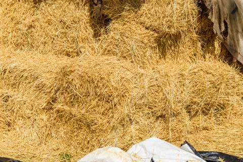 Pile of the rectangular straw bales for the background Stock Photos